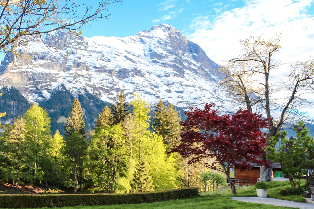 Eiger Summer