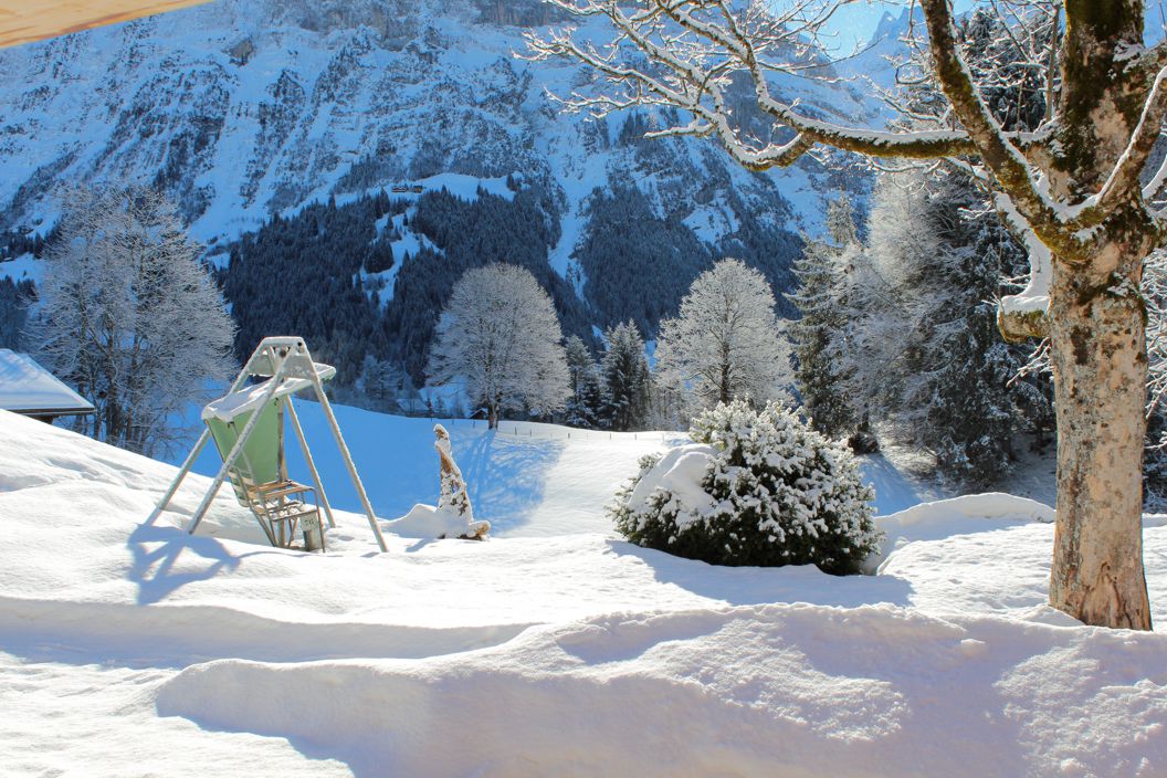 Winter Scene